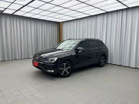 大众 途观L 2019款 330TSI 自动两驱风尚版 国V