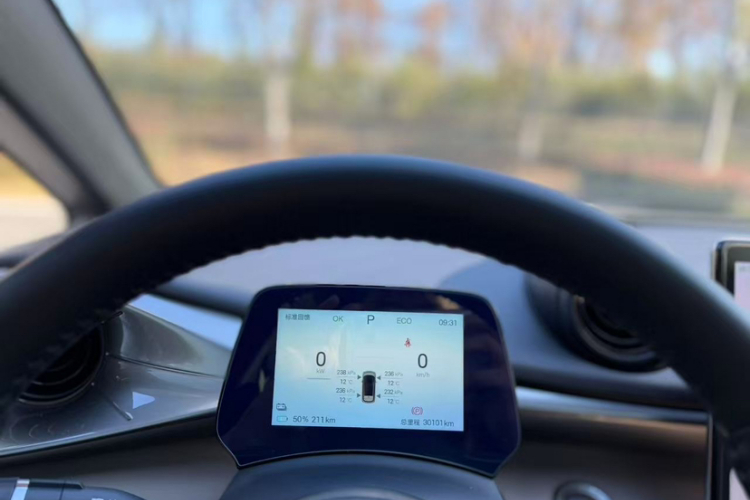 比亚迪 海豚 2025款 420km 时尚版中控内饰7002