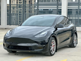 特斯拉 Model Y 2021款 标准续航后驱版