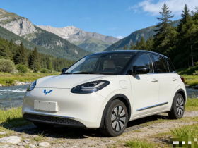 五菱汽车 五菱缤果 2023款 333km 灵犀互联款