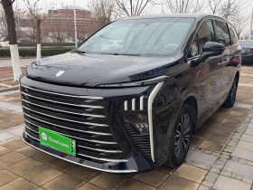 东风风行 星海V9 2024款 1.5TD 200km 青云梯系列 尊贵型