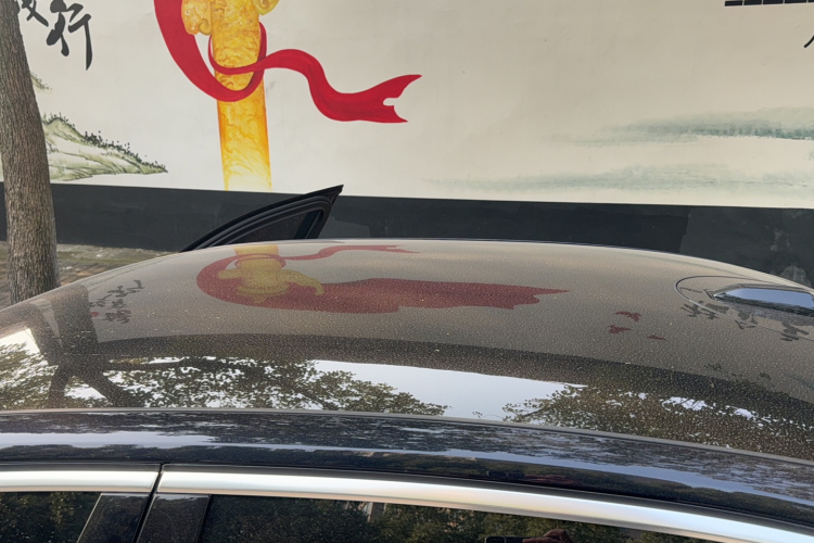 宝马5系 2024款 525Li 豪华套装局部细节57