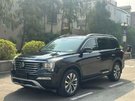 广汽传祺 传祺GS8 2017款 320T 两驱豪华智联版（七座）