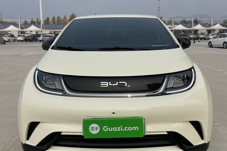 比亚迪 海豚 2025款 420km 自由版车身外观6001