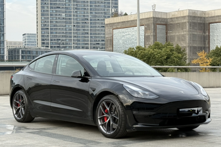 特斯拉 Model 3 2022款 Performance高性能全轮驱动版车身外观6003