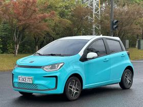 思皓 2022款 花仙子款 四叶草