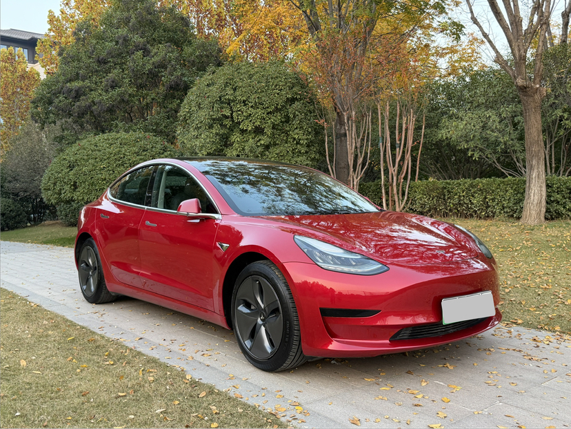 特斯拉 Model 3 2020款 改款 标准续航后驱升级版
