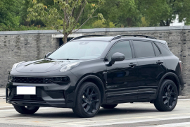 领克01 2021款 2.0TD 四驱暗夜版