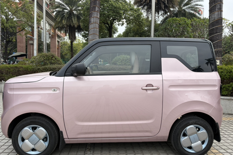 吉利银河 2023款 熊猫mini 200km 耐力熊车身外观6003