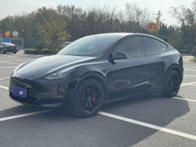 特斯拉 Model Y 2021款 标准续航后驱版