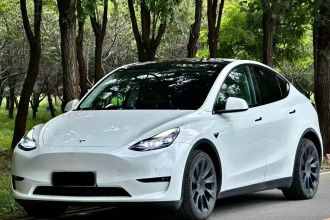 特斯拉 Model Y 2022款 后轮驱动版