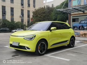 东风纳米 纳米01 2024款 430 Max智+