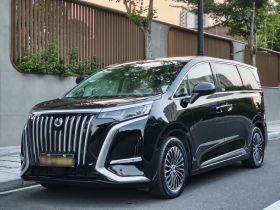 腾势D9 2022款 EV 600 四驱尊荣型