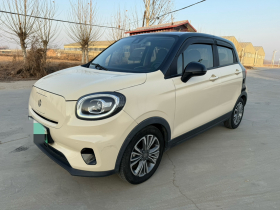 零跑汽车 零跑T03 2021款 400豪华版