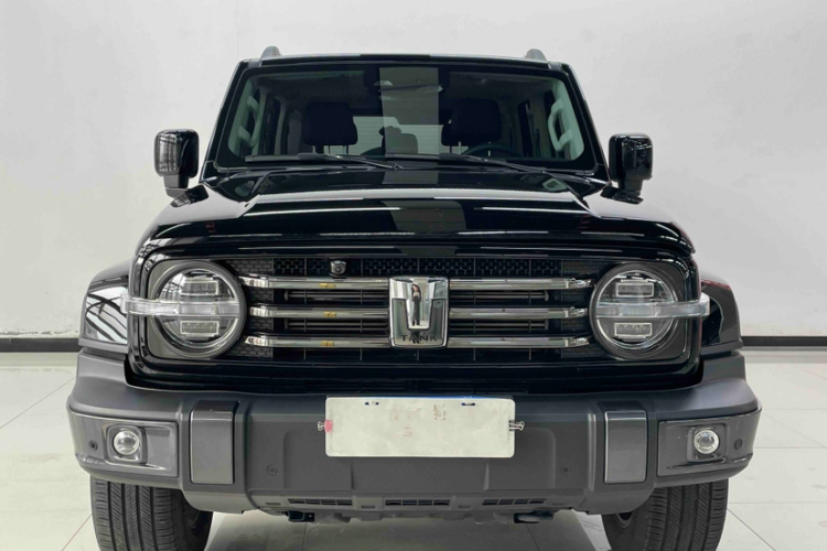 坦克300 2023款 城市版 2.0T 很有型车身外观6002