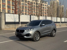 魏牌 VV6 2018款 2.0T 两驱超豪型 国V