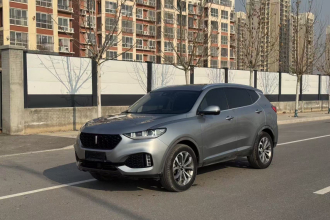 魏牌 VV6 2018款 2.0T 两驱超豪型 国V