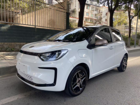 思皓 花仙子 2021款 302km 时尚型 31.4kWh