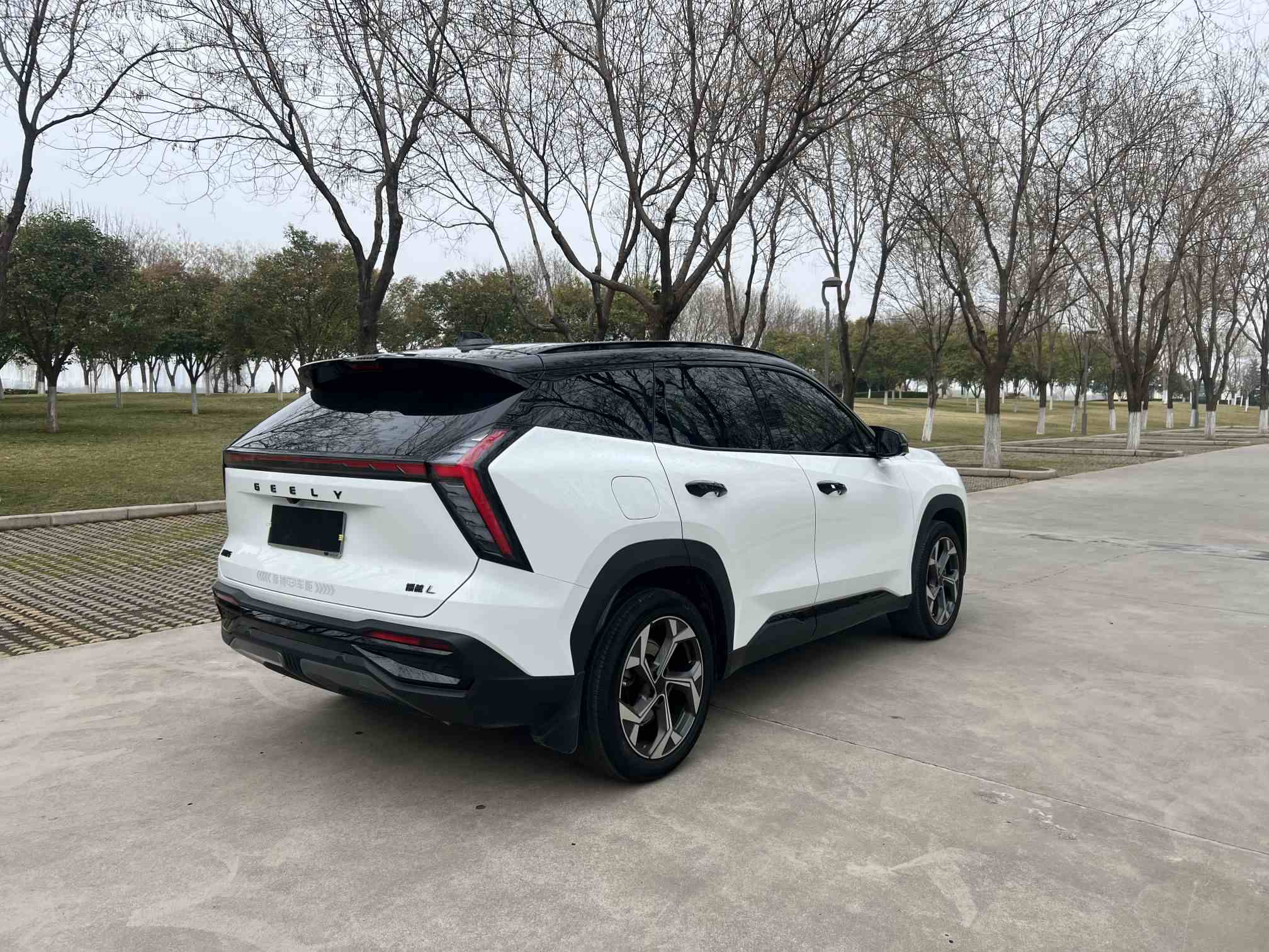 吉利汽车 博越L 2024款 1.5TD DCT尊贵版(4)