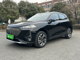 魏牌 玛奇朵DHT-PHEV 2021款 1.5L 大师版