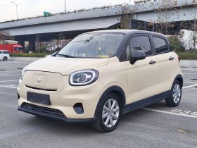 零跑汽车 零跑T03 2022款 皓玉版