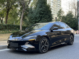 比亚迪 海豹 2023款 冠军版 700km 性能版