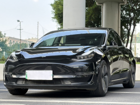 特斯拉 Model 3(进口) 2019款 长续航后驱版