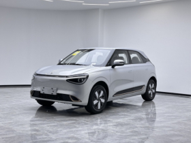 东风纳米 纳米01 2026款 初心款 330Air