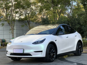 特斯拉 Model Y 2023款 长续航全轮驱动版