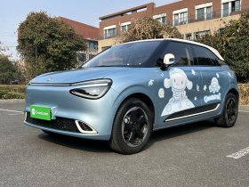 东风纳米 纳米01 2024款 430 Max智+