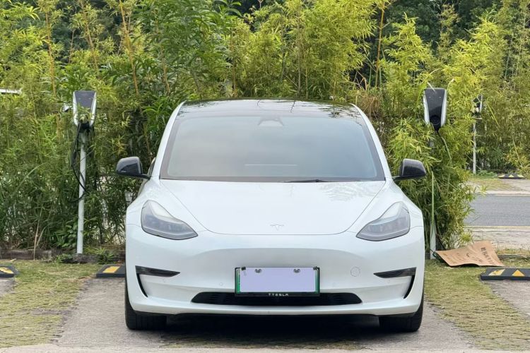 特斯拉 Model 3 2022款 Performance高性能全轮驱动版车身外观6002