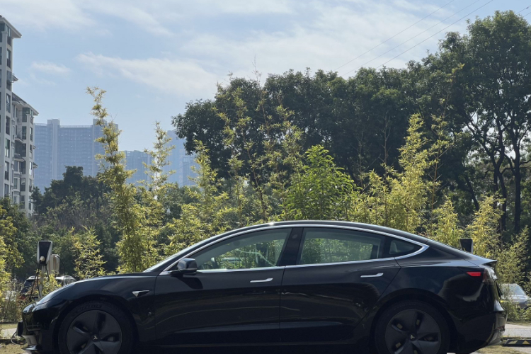 特斯拉 Model 3 2020款 标准续航后驱升级版车身外观6002