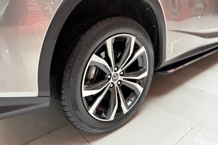 雷克萨斯RX 2020款 改款 300 四驱典雅版车身外观6003