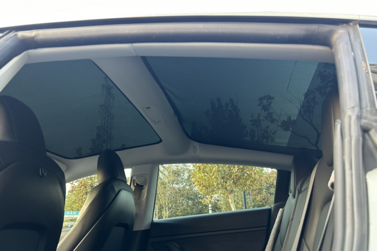 特斯拉 Model 3(进口) 2019款 长续航后驱版局部细节22