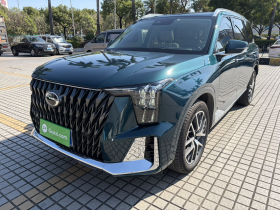 广汽传祺 传祺GS8 2022款 双擎系列 2.0TM 四驱尊贵版 （六座）