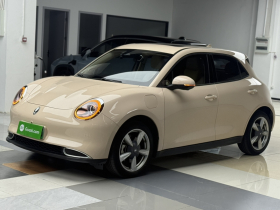 欧拉好猫 2021款 400km标准续航 维纳斯版 三元锂