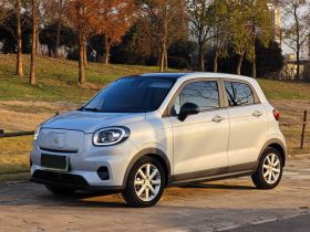 零跑汽车 零跑T03 2022款 星钻版