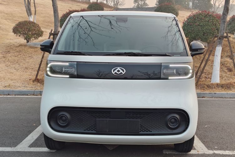 上汽大通MAXUS 大拿V1 2024款 V1 短轴低顶 多功能版（51kWh）车身外观6001