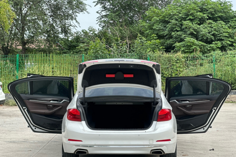 宝马5系 2019款 改款 525Li 豪华套装中控内饰7006