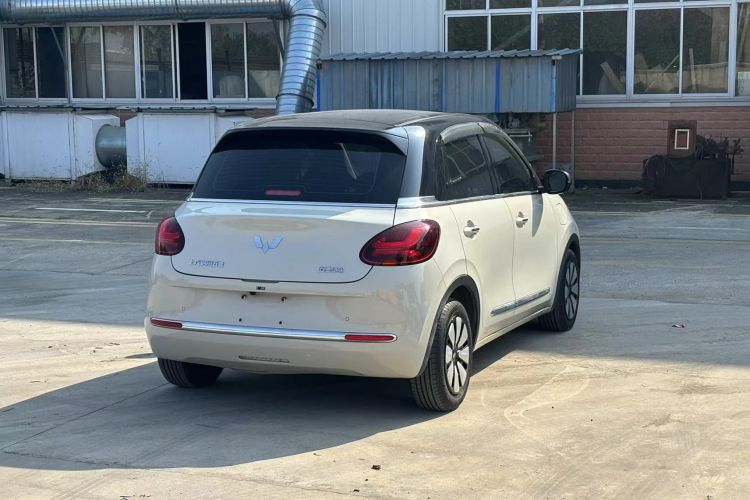 五菱汽车 五菱缤果 2023款 333km 灵犀互联款车身外观6009