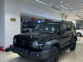 坦克300 2023款 越野版 2.0T 征服者