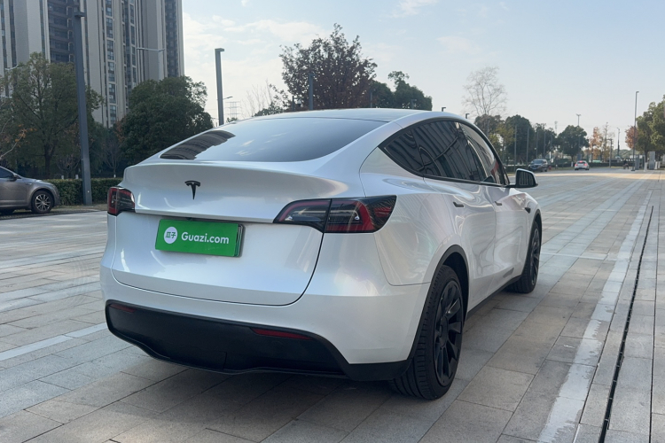 特斯拉 Model Y 2021款 标准续航后驱版车身外观6004