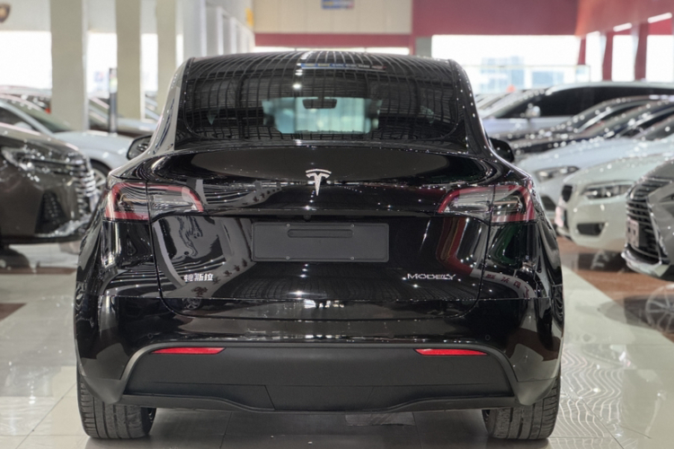 特斯拉 Model Y 2021款 标准续航后驱版车身外观6002