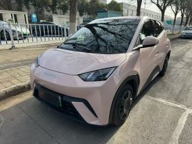 比亚迪 海鸥 2023款 活力版