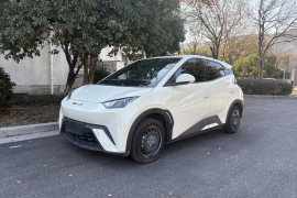 比亚迪 海鸥 2023款 活力版