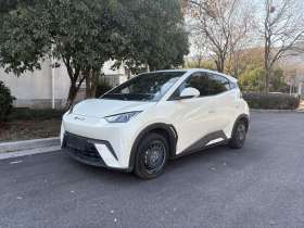 比亚迪 海鸥 2023款 活力版