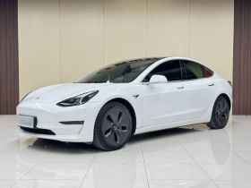 特斯拉 Model 3 2020款 改款 长续航后轮驱动版