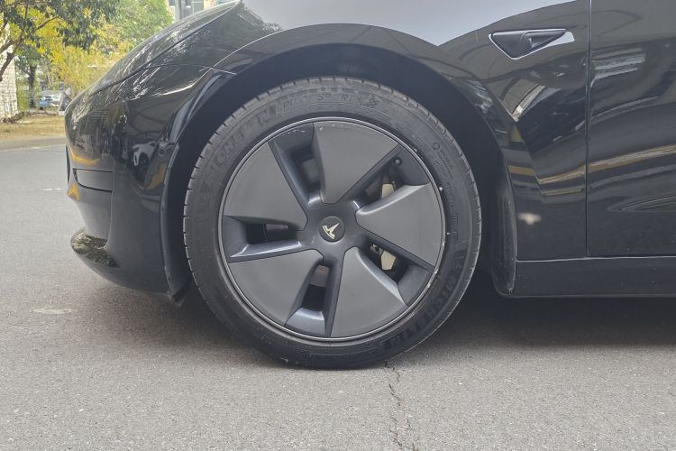 特斯拉 Model 3 2021款 标准续航后驱升级版 3D6局部细节9004