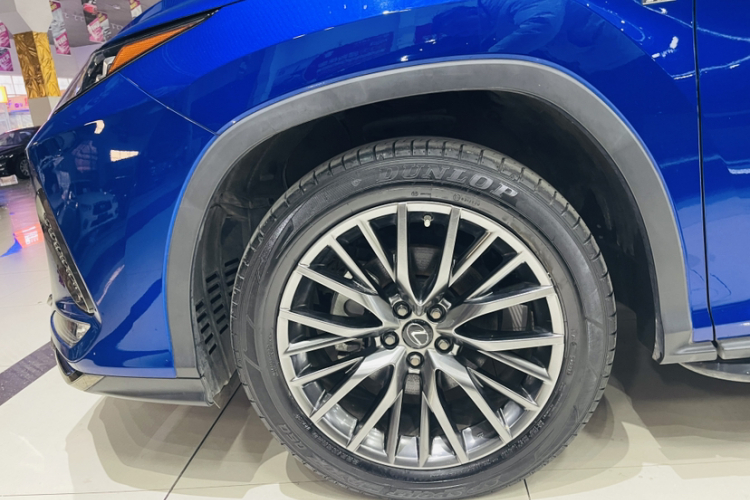 雷克萨斯RX 2021款 300 四驱F SPORT车身外观6006