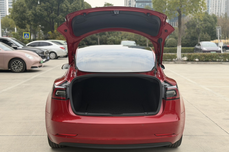 特斯拉 Model 3 2019款 标准续航后驱升级版车身外观6007